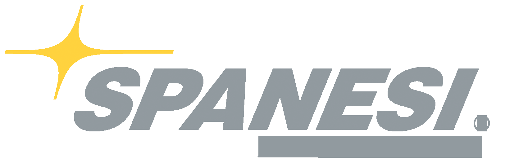 Spanesi Americas Grigio logo 