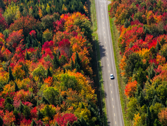 autumn-driving-accidents-dangerous-season