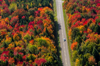 autumn-driving-accidents-dangerous-season