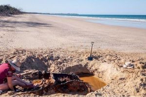 Vintage WWII vehicle found on beach