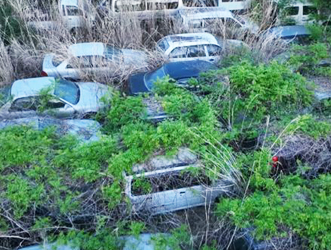 On The Lighter Side: Fukushima Cars Are Still Rotting