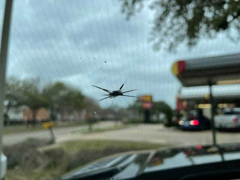 broken windshield