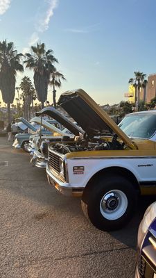 Open hoods lined up at sunset.