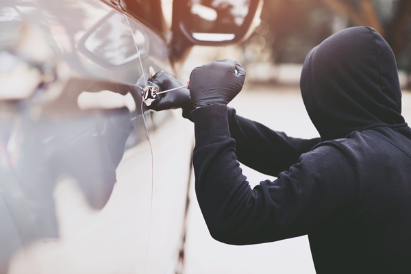 NJ-car-theft-law